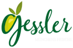 Logo Gessler